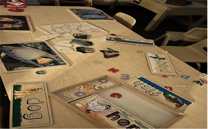 Slow Pedagogies, Fast World: Allowing the Time for Meaning to Breathe